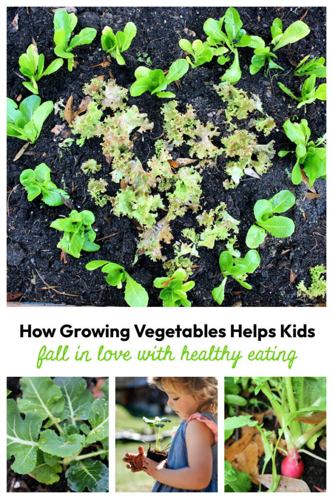 From Garden to Table: How Growing Vegetables Helps Kids Fall in Love with Healthy Eating