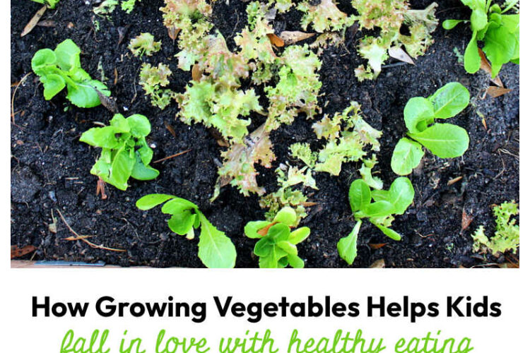 From Garden to Table: How Growing Vegetables Helps Kids Fall in Love with Healthy Eating