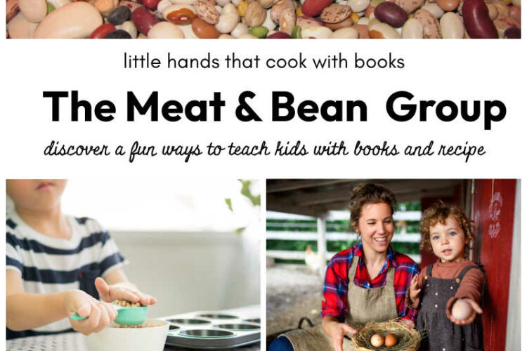 Meat and Bean Food Group Lesson Plan for Kids