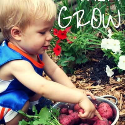 Growing potatoes with Kids: a Backyard Gardening Activity