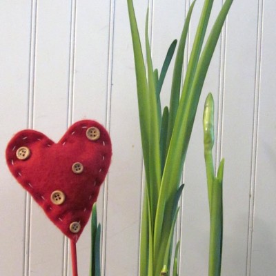 Making an Indoor Garden with Kids