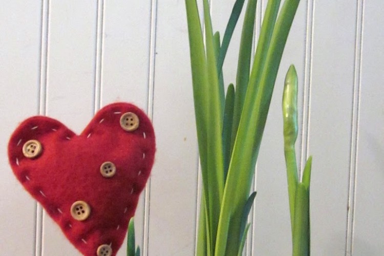 Growing Bulbs Indoors for Gardening with Kids