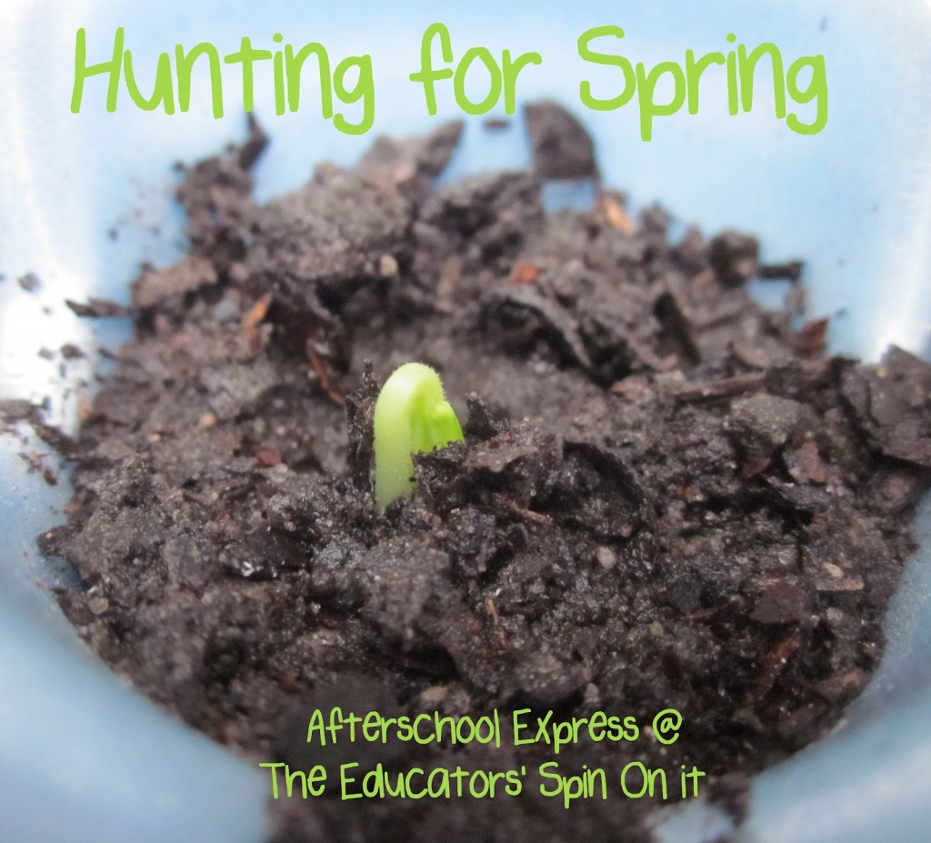 Hunting for Spring with Kids using Spring Journal and Observation 