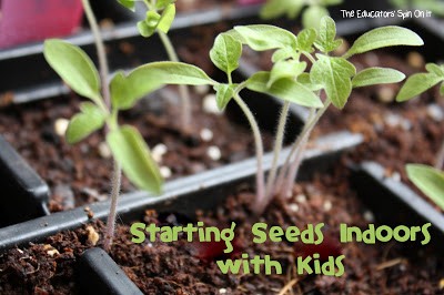 The Learning Garden – Starting Seeds Indoors