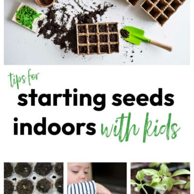Starting Seeds Indoors with Kids