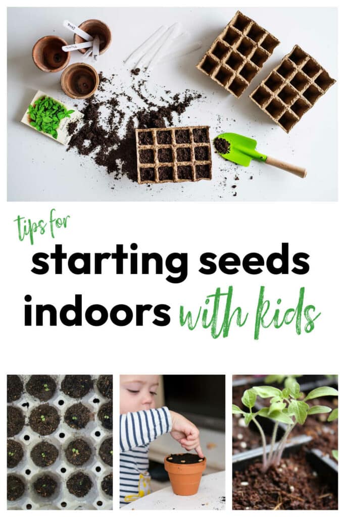 Starting Seeds Indoors with Kids