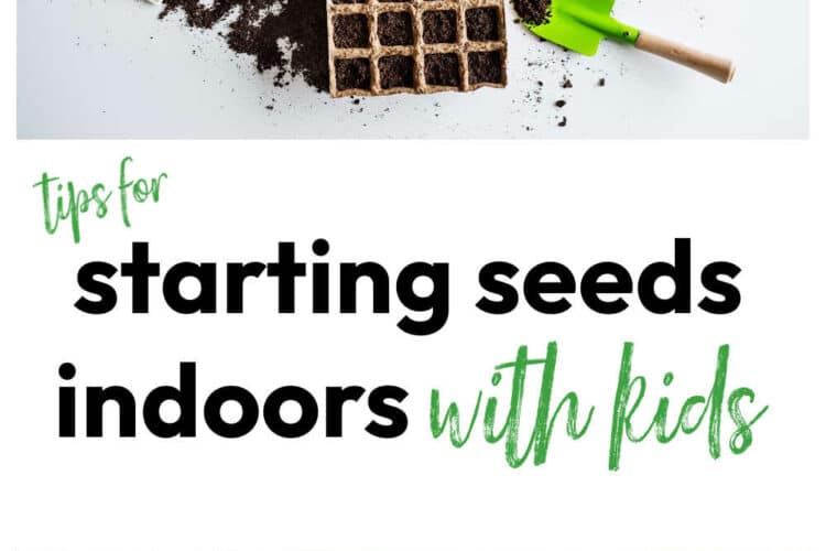 Starting Seeds Indoors with Kids