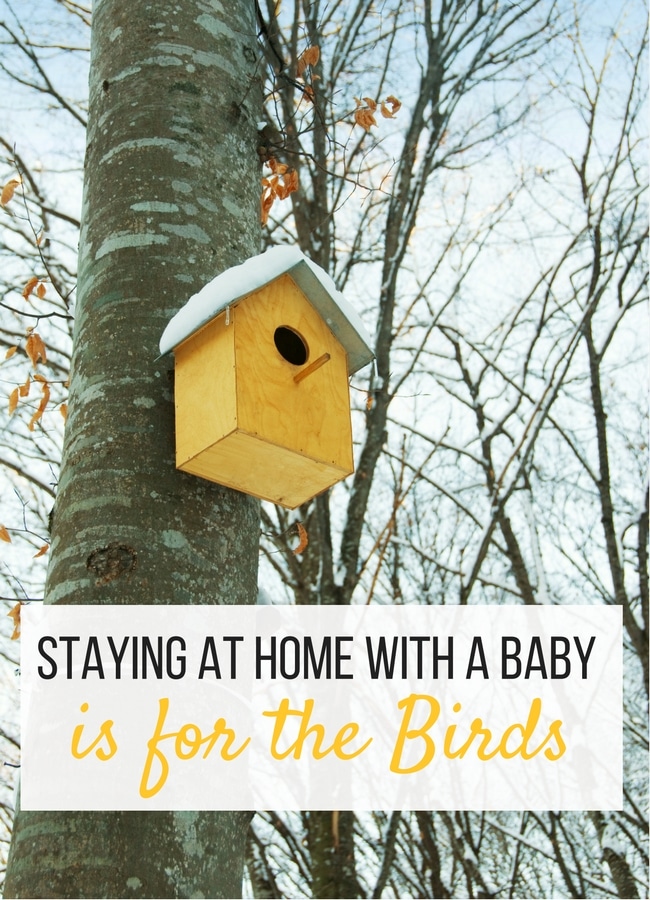 Staying at Home with a Baby is for the birds. It's not what you think, here's why