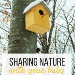 Sharing Nature with your Baby . Tips and Advice on why it's important to include nature to your schedule as a stay at home parent.