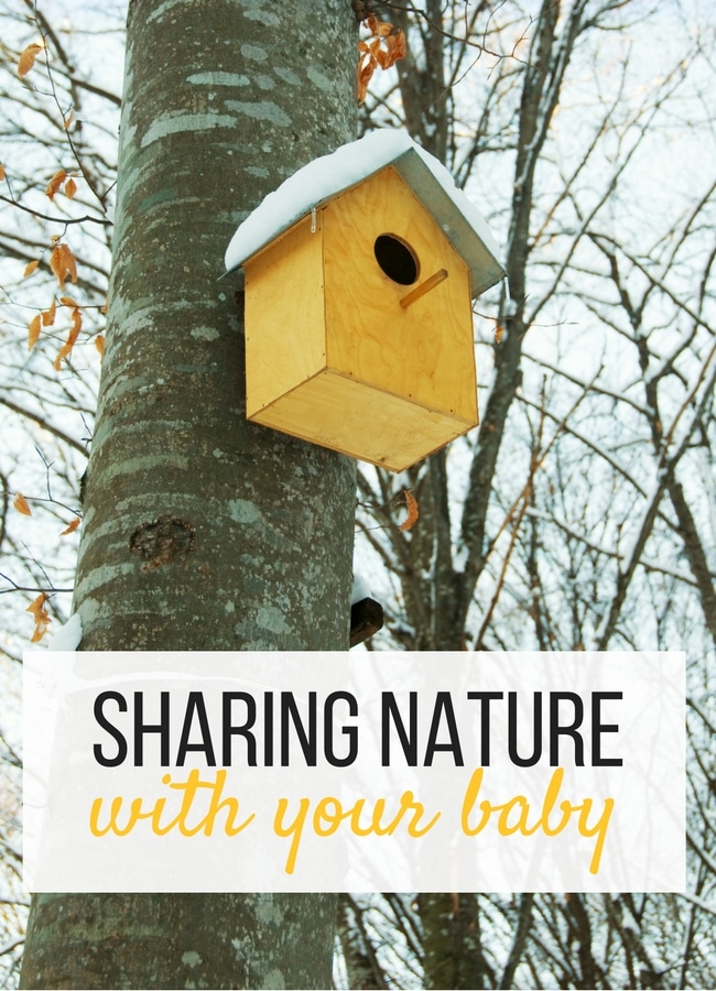 Sharing Nature with your Baby . Tips and Advice on why it's important to include nature to your schedule as a stay at home parent. 