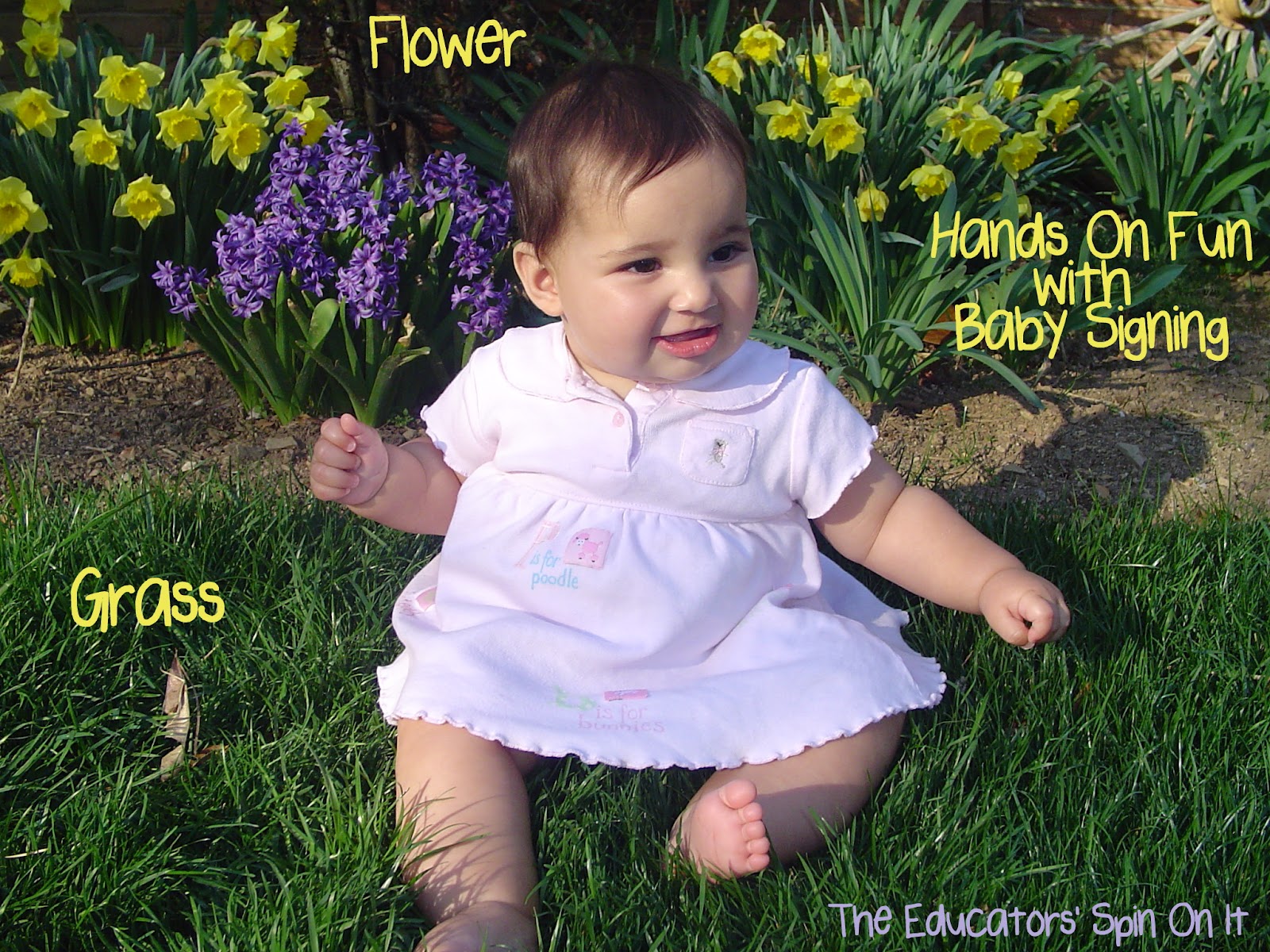 baby sitting in grass exploring spring with green grass and yellow and purple flowers 