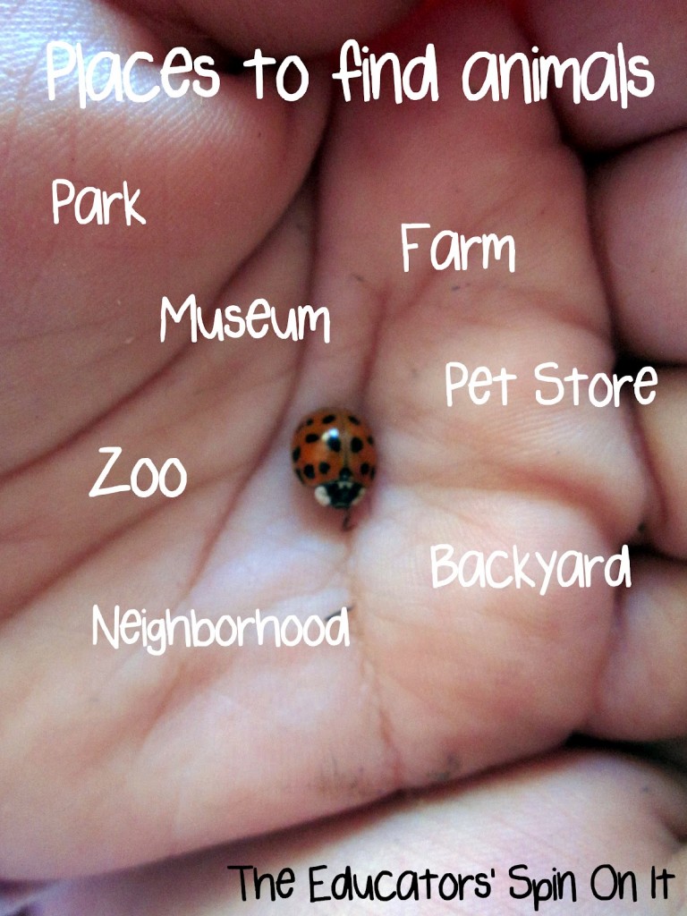 places to observe animals with babies and toddlers 