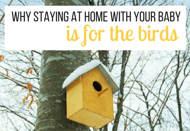 staying-at-home-is-for-the-birds-6-nature-activities-to-do-with-babies