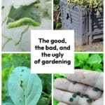 The good, the bad, and the ugly of gardening - please don't say you have not been warned!