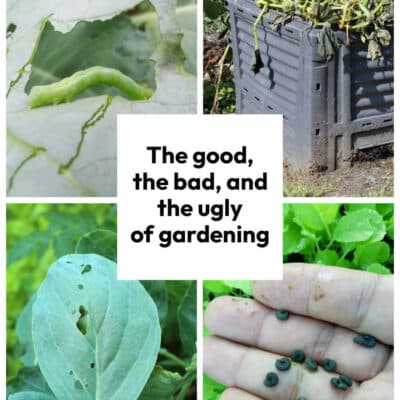 The good, the bad, and the ugly of gardening – please don’t say you have not been warned!
