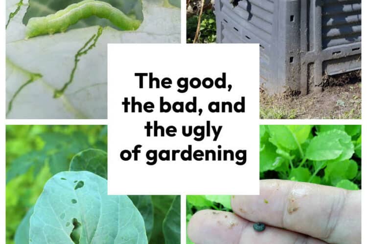 The good, the bad, and the ugly of gardening - please don't say you have not been warned!