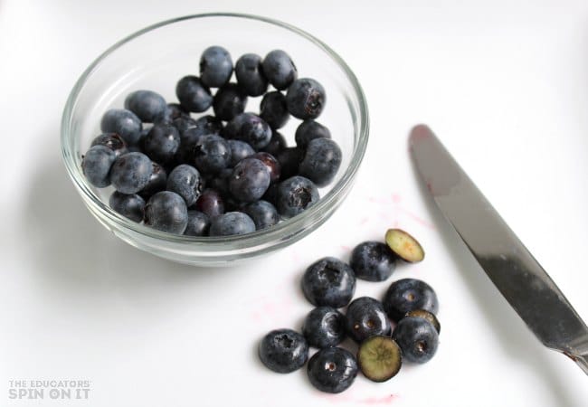 Blueberry Snack for Earth Day for Kids