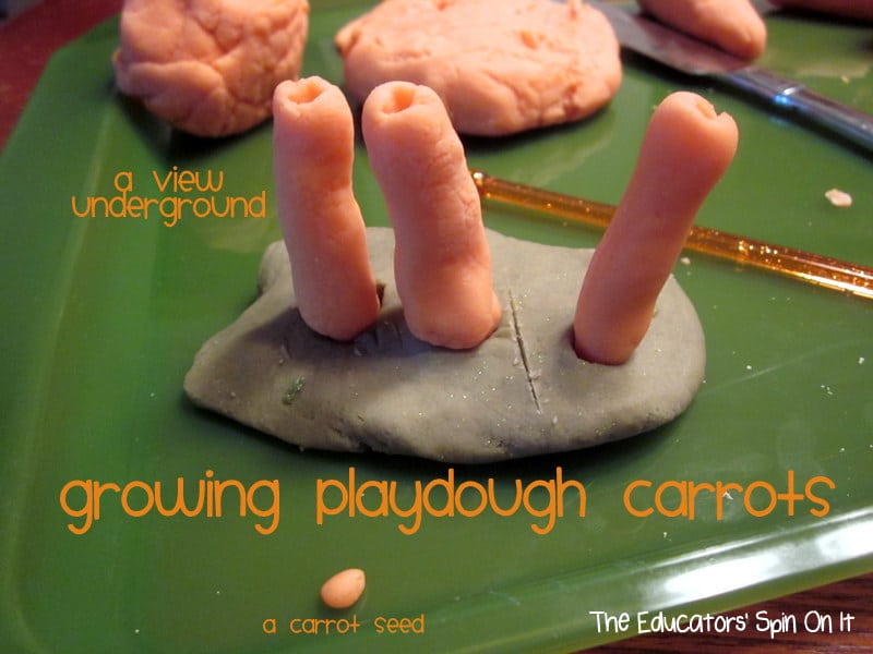 Growing Playdough Carrots with Kids