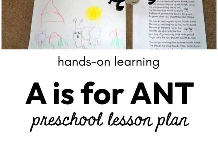 A is for Ant Lesson Plan for Preschool