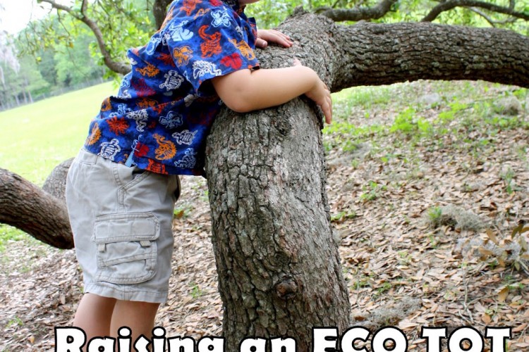 Raising an ECO TOT