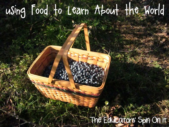 Basket of blueberry for blueberry picking with kids