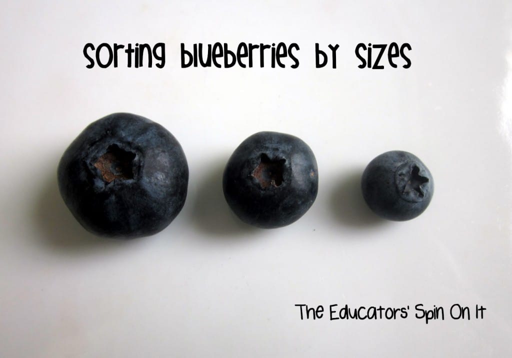 blueberry size comparisons