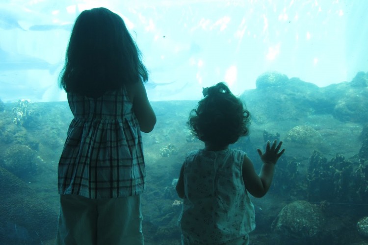 Summer Time Fun with Kids! Ideas for fun and learning this summer with your child.