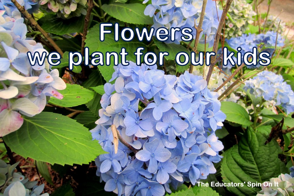 Flowers we plant for our kids