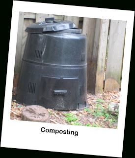 Teaching Children to Be Environmentally Friendly by composting