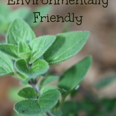 Teach My Child to Be Environmentally Friendly