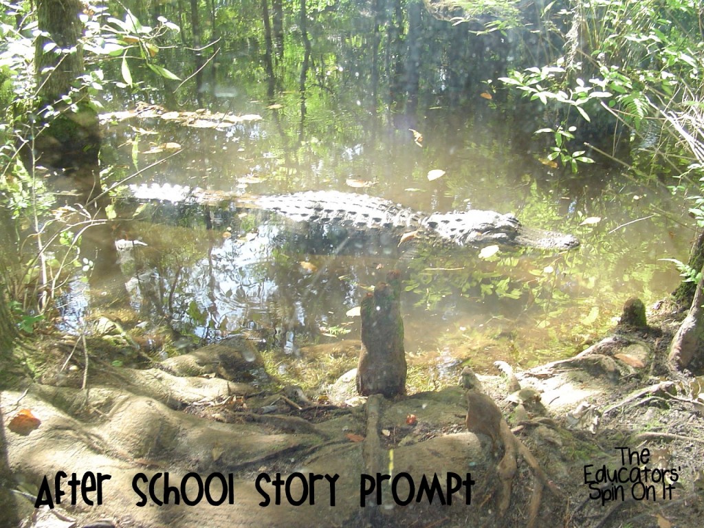 An Alligator in the Swamp in Florida- an After School Writing Prompts 