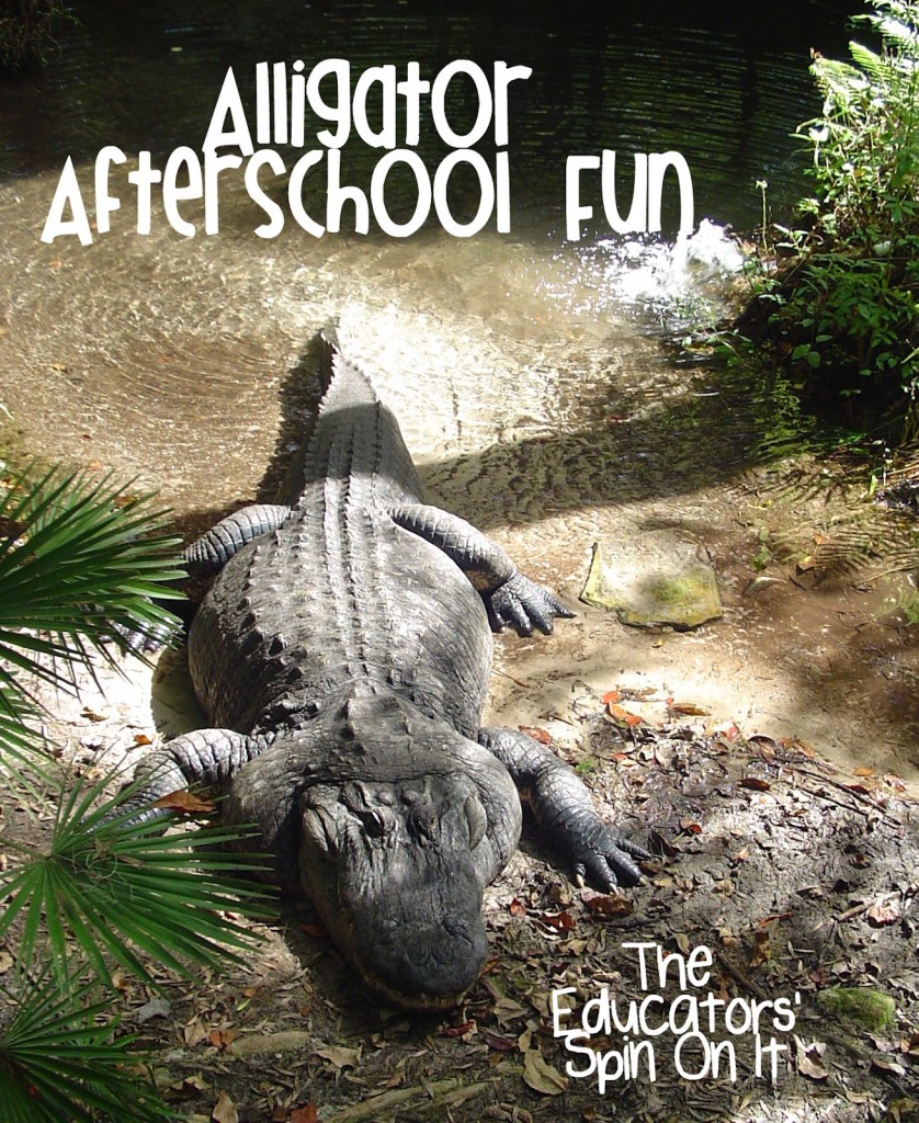 Alligator Activities for After School with Kids 