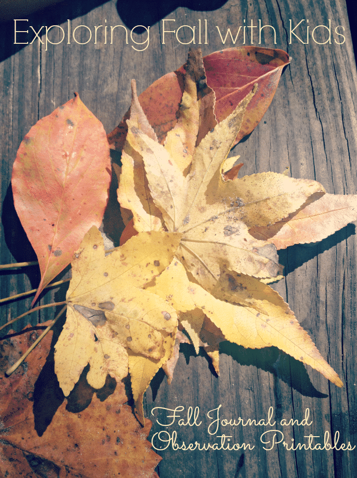 Exploring Fall with Kids from the Educators' Spin On It