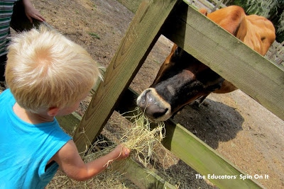 Farm Tot School Activity Plan 