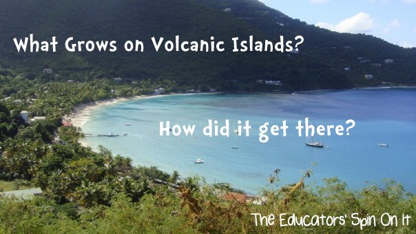 What grows on Volcanic Islands. A lesson about French Polynesia for kids with a coconut bread recipe
