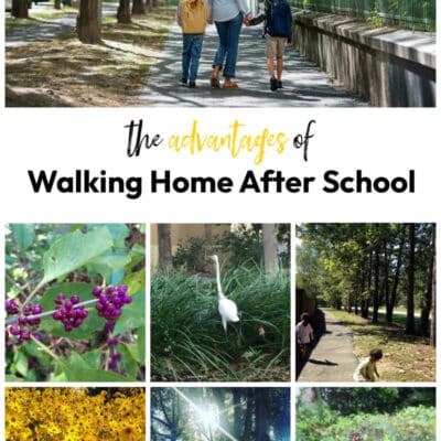 The Advantages of Walking Home After School Together