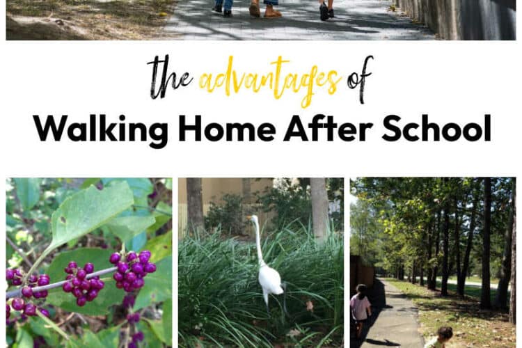 The Advantages of Walking Home After School Together