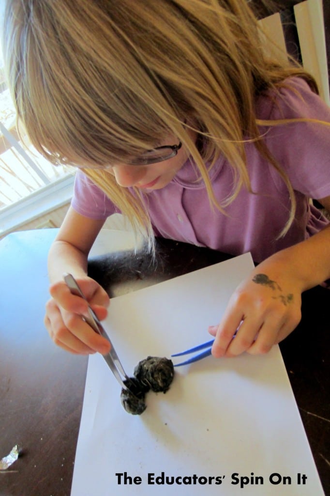 Dissecting Owl Pellets for Science Activity After School