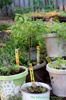 Creating an Edible Sensory Garden for Kids with Herbs 