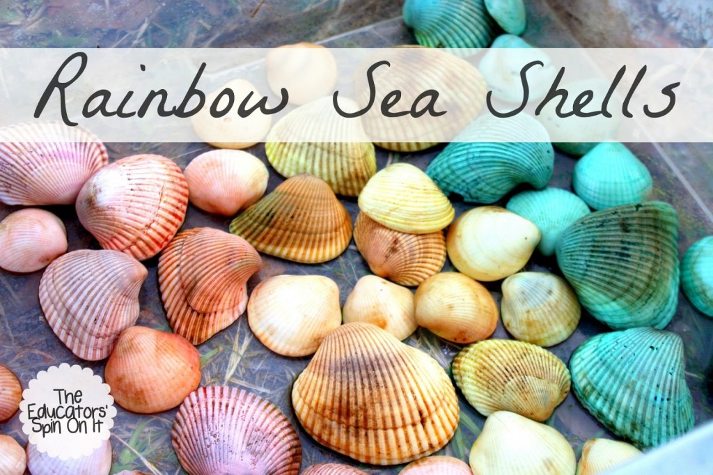 How to Dye Seashells