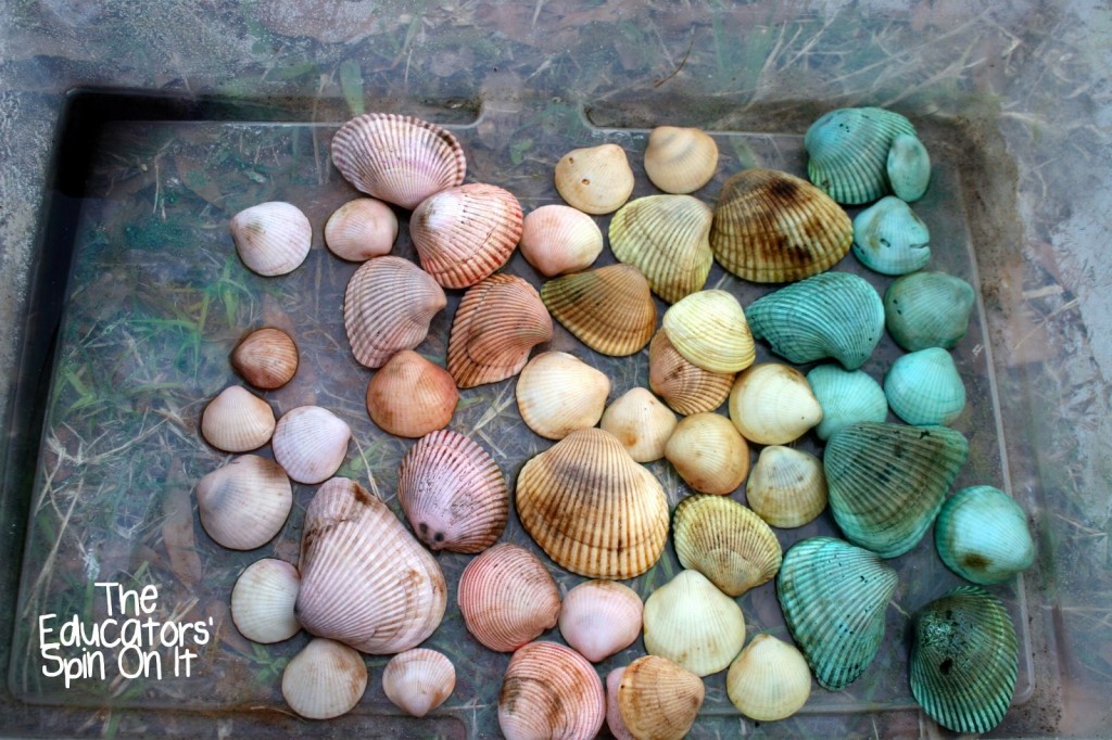 How to Dye Seashells