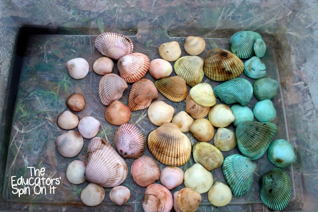 Create Your Own Rainbow Sea Shells With Your Egg Dye