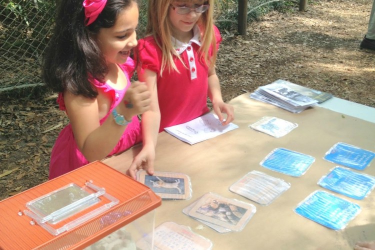 Stations for Party for the Planet Event for Kids for Earth Day
