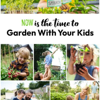 Kids in the Garden