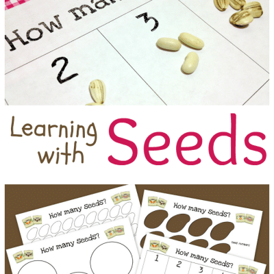 Printable Seed Activities Inspired by The Tiny Seed by Eric Carle