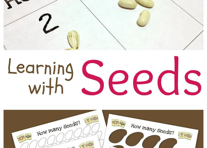 Learning with Seeds Printable inspired by the book The Tiny Seed