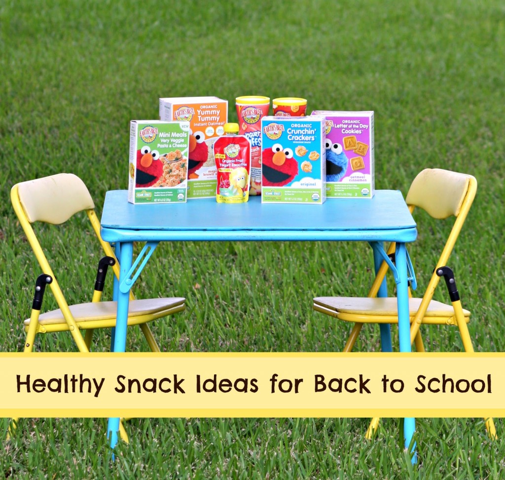 Healthy Snack Ideas for Back to School