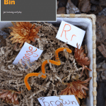 How to make Sensory Bin for Multiple Ages