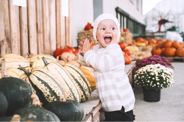 Child picking pumpkins at pumpkin patch. Little toddler girl playing among squash at farm market. 