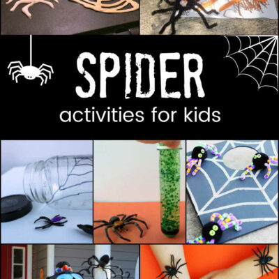 Spider Activities for School Ages